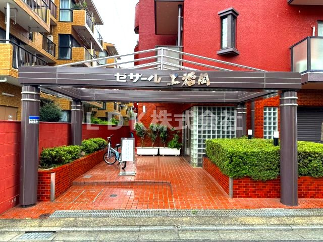 【エントランス】 | 専任/セザール上福岡