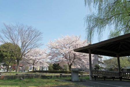 山吹荘２号館 |上柚木公園まで724m