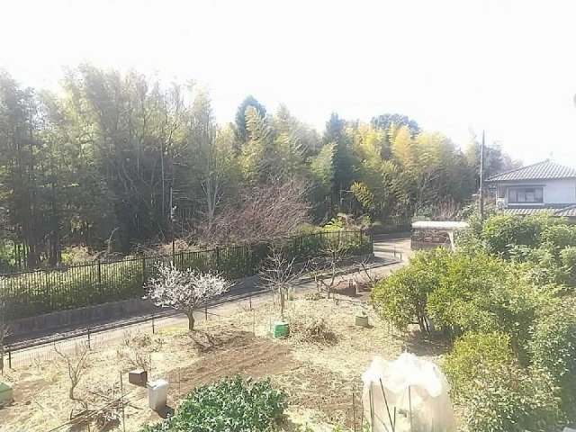 レオパレスヴィラ－ジュのその他