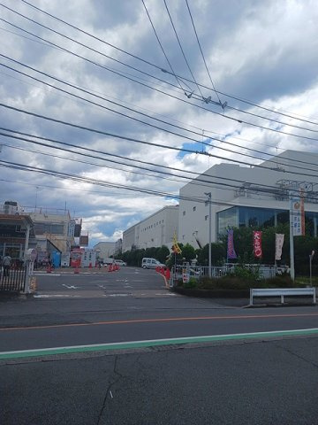 リノア是政の周辺|大東京綜合卸売センターまで1039m