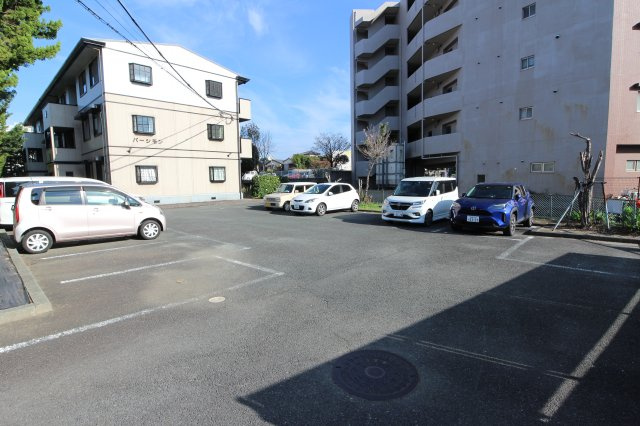 パーシモン