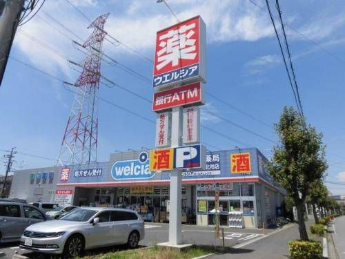 ジュネパレス柏第２９の周辺