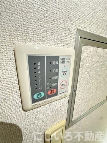 アンジェリカDのその他