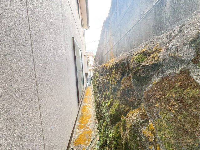 長崎県雲仙市小浜町雲仙 中古戸建のその他|隣地（南東側）との境界付近の様子
