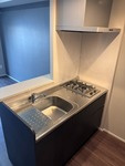デュ・レジア博多レジデンスのキッチン