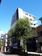 レガリス高円寺Ⅱの画像