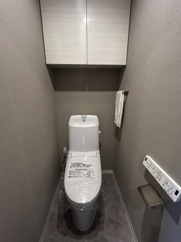 グランデ・プレミアムビスタ野嵩EASTのトイレ
