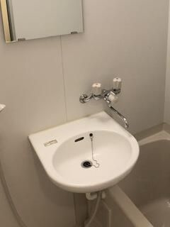 ドミール十条の洗面所