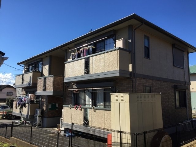 ウィルモア岡本の画像