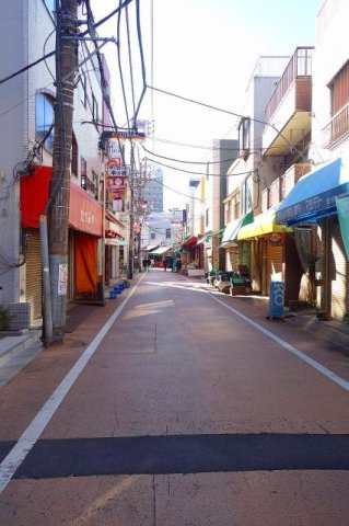 THE PALMS大島のその他