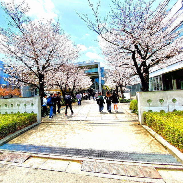 東京都市大学　世田谷…まで850m