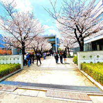 東京都市大学　世田谷…まで850m
