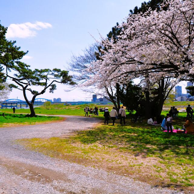 多摩川玉川公園まで1200m