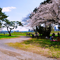 多摩川玉川公園まで1200m