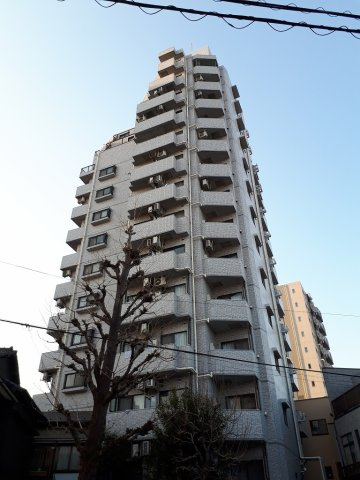 ライオンズプラザ白山の外観
