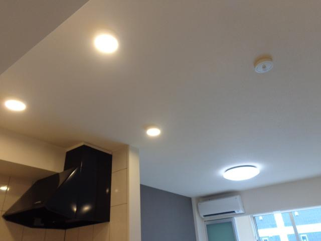 アネシスの設備|照明器具