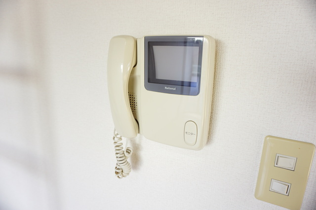 シティーハイツ　カーネーションＣ棟のセキュリティ