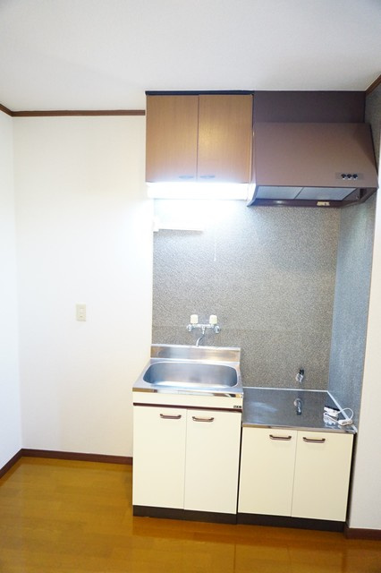 シティーハイツ　カーネーションＣ棟のキッチン|キッチンです