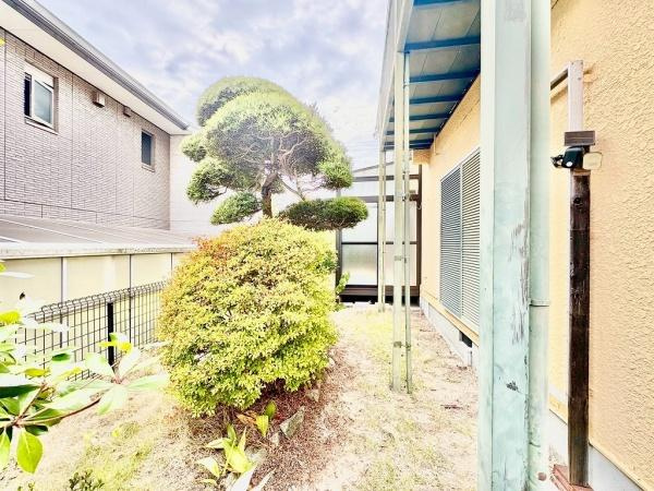 【庭】 | 垂水区つつじが丘5丁目　中古戸建