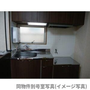 徳川園ウエストマンションのキッチン