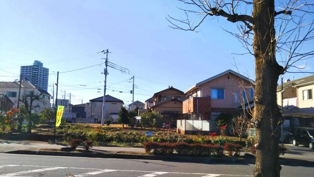 レオネクストセレッサⅡのその他