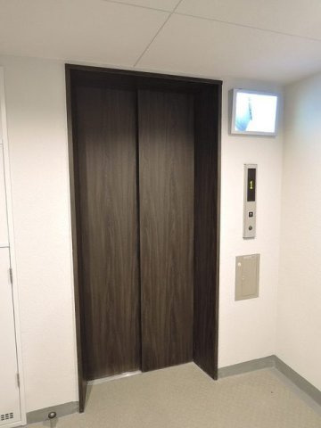 オネスティのその他