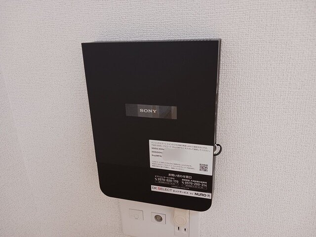 サラスバティ　Ｃのその他