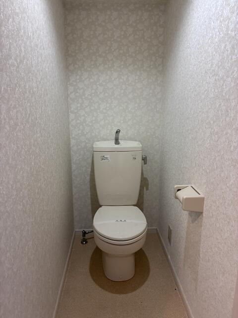 リヴェール橋本のトイレ