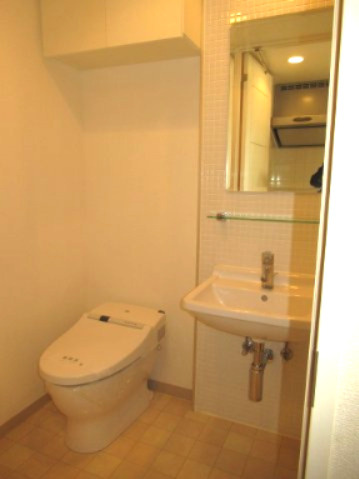 中央区入船２丁目の賃貸マンションのトイレ|落ち着いた色調のトイレです