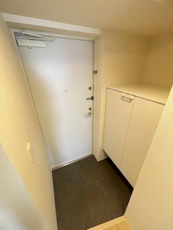 ザ・パーククロス阿波座の玄関