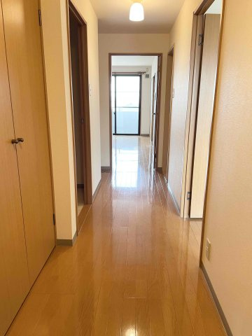 ベロウ岩上のその他