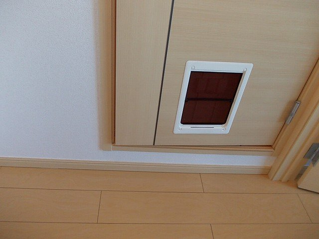 グラン・レーヴのその他
