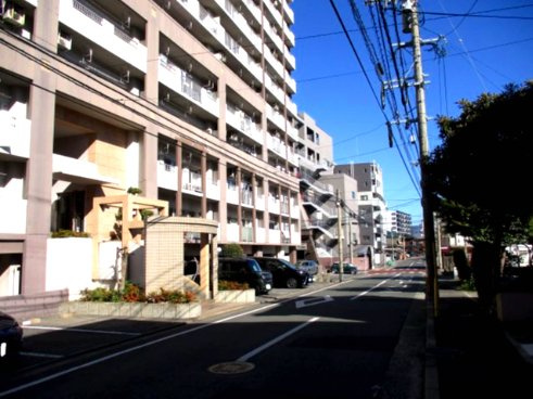 シャンピア真鶴（A-13）の周辺