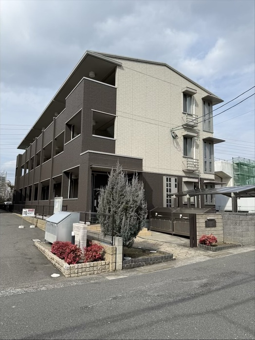 Ｒｉｏくるまの画像