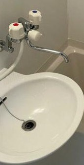 エクシード根岸の洗面所