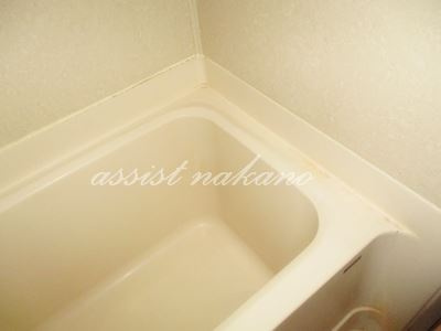 ソシアルマンションの浴室