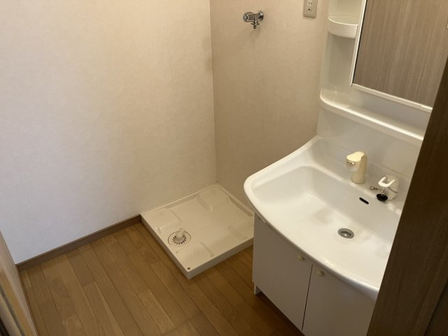 パレス小沢7の洗面所