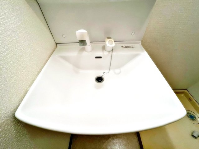 ロイヤルキャッスルの洗面所