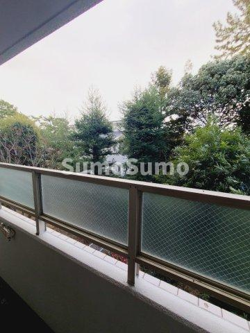白鷹松下町マンションの展望