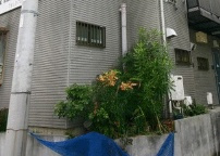 サンロイヤル中延のその他共用部分