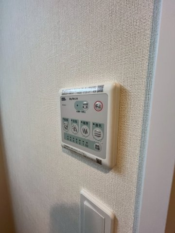 アンジュのその他