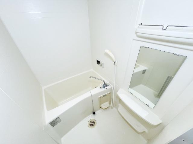 バス