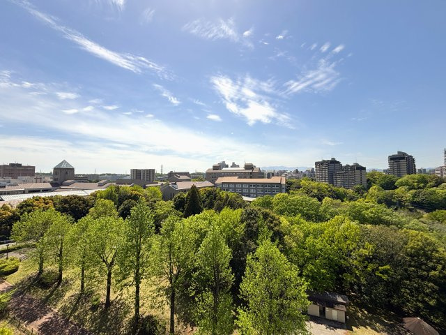 バルコニーからの景色
