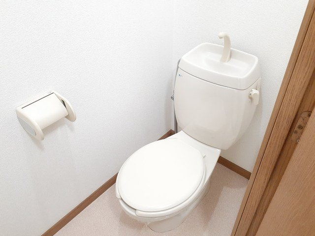 ゆったりとした空間のトイレです