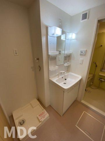 徳島市北矢三町２丁目のアパートの洗面所