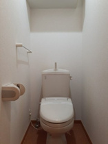 落ち着いた色調のトイレです