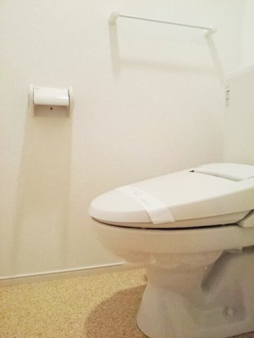 落ち着いた色調のトイレです