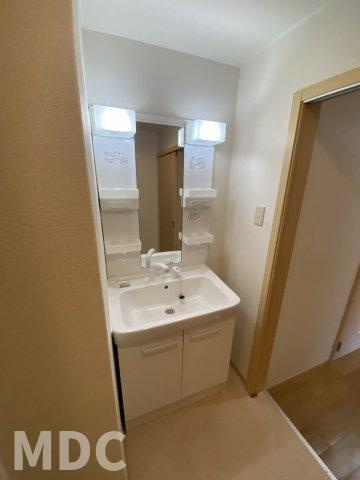 徳島市北矢三町３丁目の賃貸マンションの洗面所