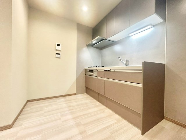 品川区旗の台5丁目　中古戸建のキッチン|横一列にシンクとコンロをまとめたシンプルなシステムキッチン。動きやすさが魅力です！

現地ご見学希望・資料請求などお気軽にお問い合わせ下さい！
03-5990-5201