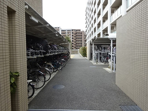 ライオンズ南千里佐竹台グランハート　スカイヴィラのその他|駐輪場　※前回募集時／２０２５年２月の写真